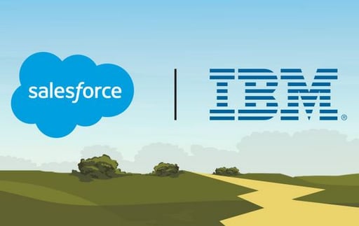 Salesforce.IBM.landscape