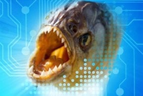 phishing attacks