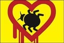 Heartbleed vulnerability