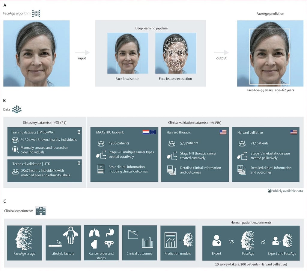 FaceAge tool and related research from Mass General Brigham.