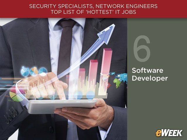 Software Developer
