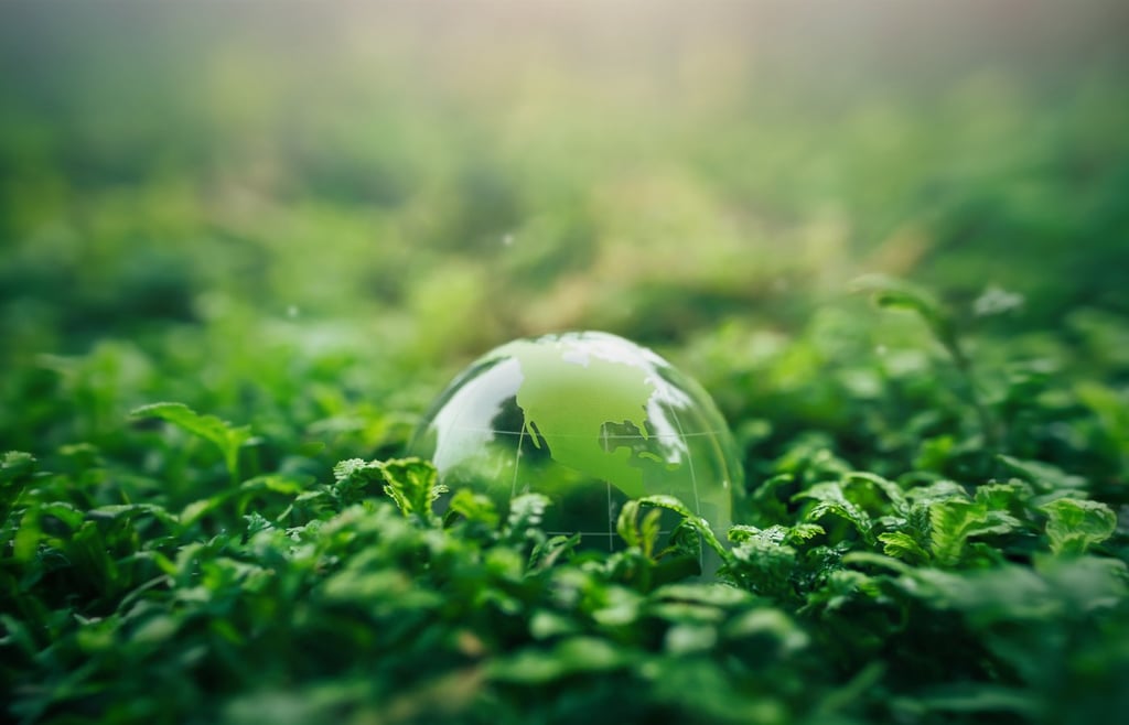 Crystal ball on moss in green forest.