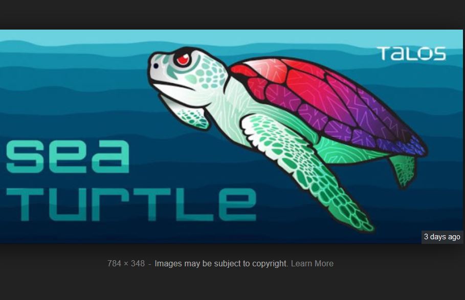 SeaTurtle.DNS