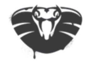 VENOM flaw