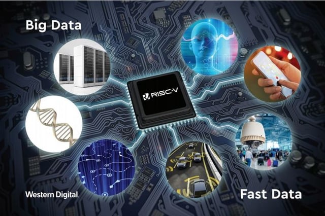 RISC-V.WD.BigData.FastData