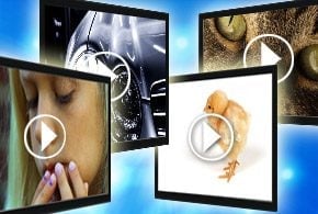 Microsoft Spotlights Video Streaming
