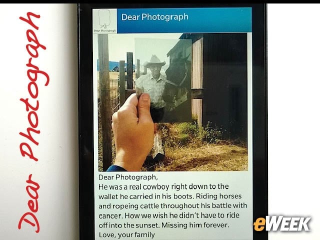 11-Dear Photograph: A Real Cowboy