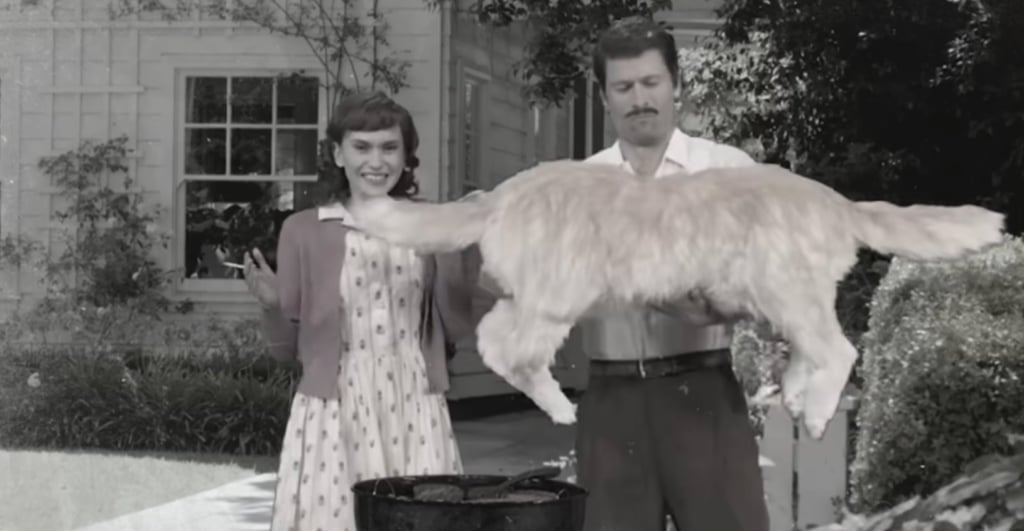 An SNL skit on greyscale.