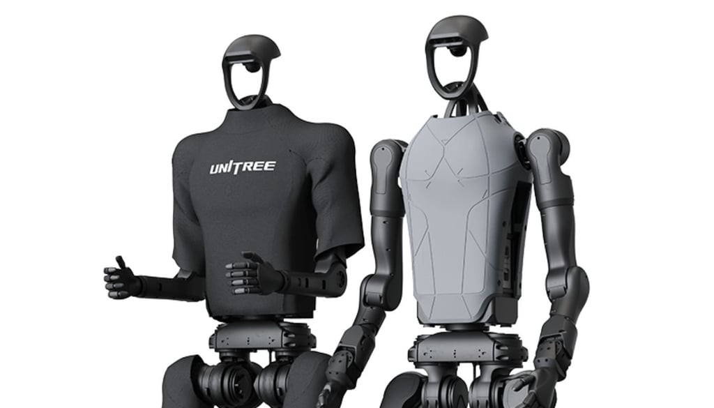 Humanoid Robot