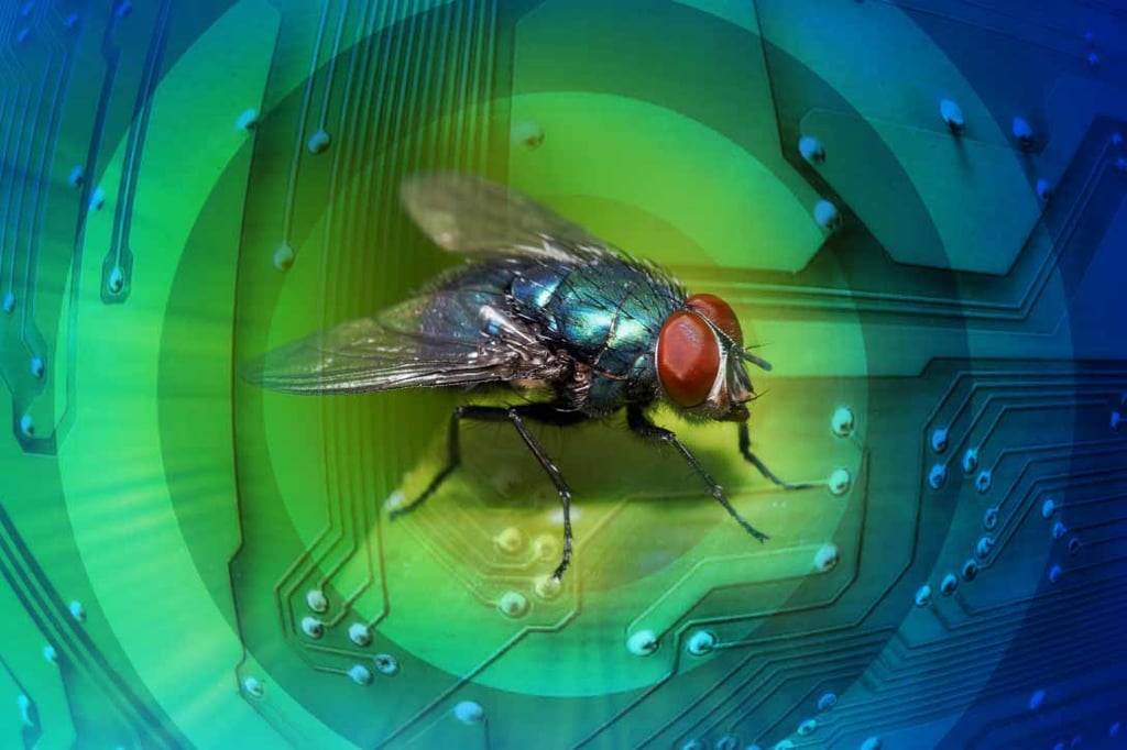 Bug bounty 2