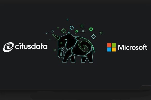 Citrus.MSdatabase