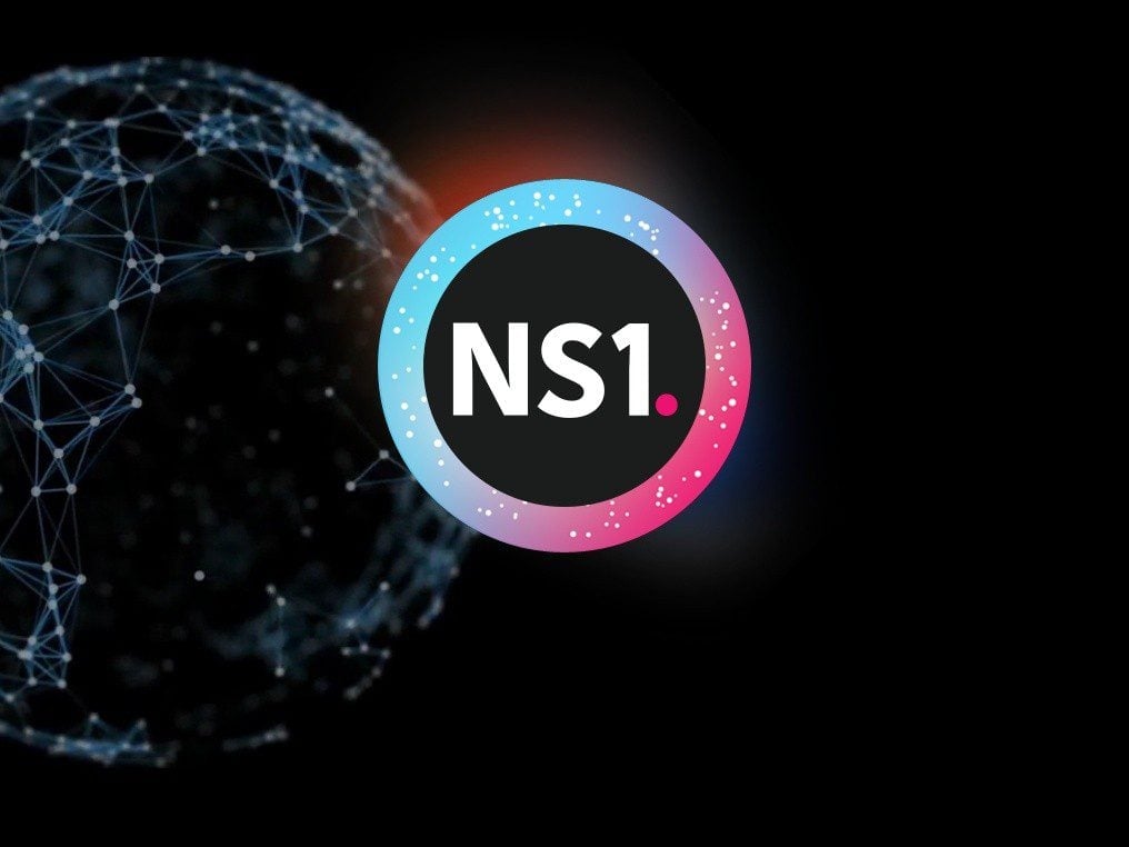 NS1.logo2