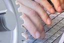 WordPress 3.8 Content Management Platform Gets a New Look