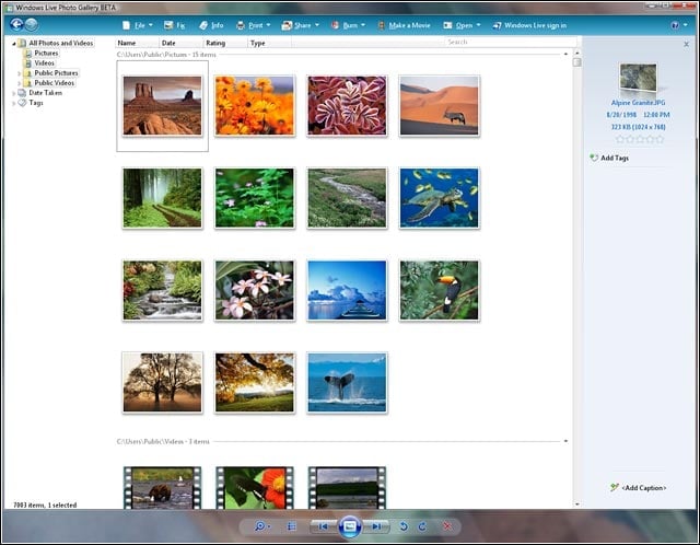 Two Windows Live Services Go to Beta
