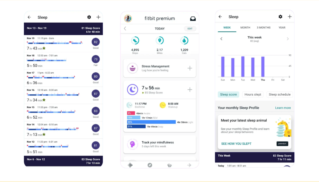 Fitbit mobile app