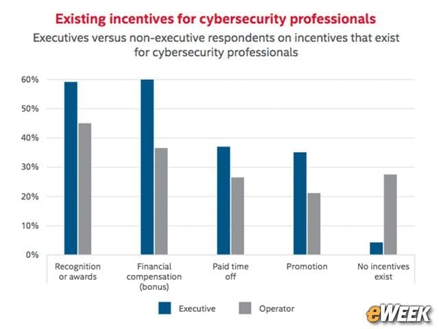 Cyber-Security Incentives Vary