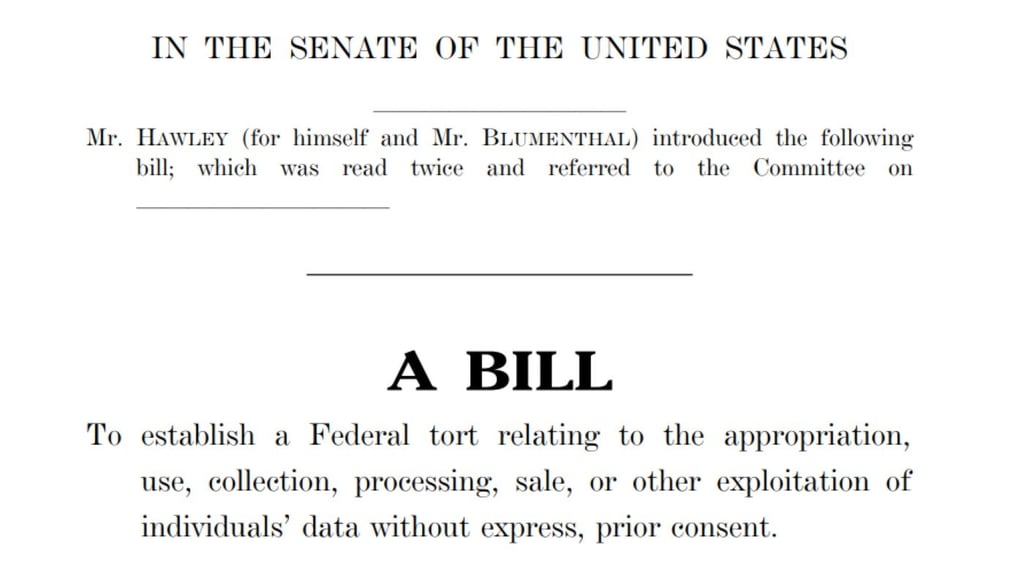 A screenshot of the actual copy of Hawley’s proposed bill. (Source: U.S. Senate)