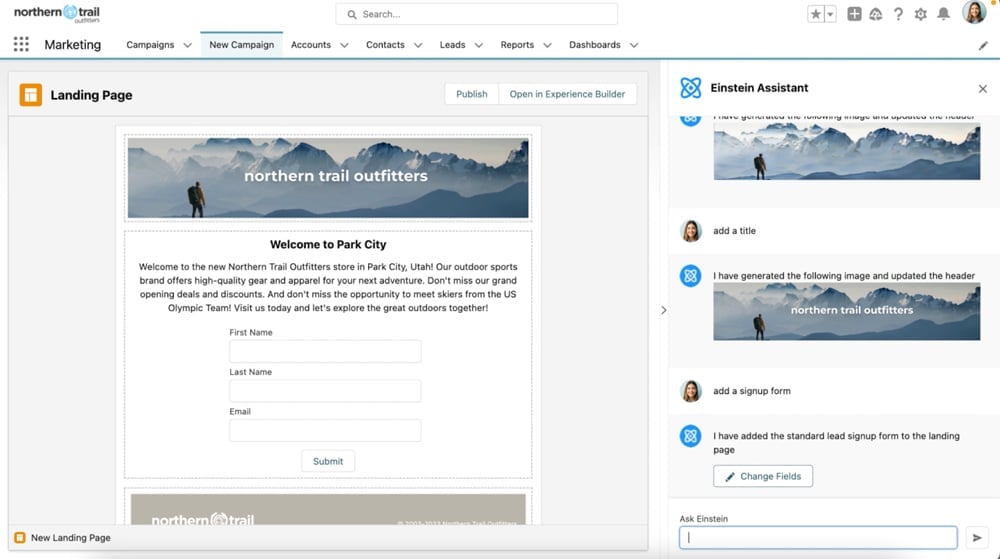 Salesforce Einstein Copilot Assistant interface screenshot.