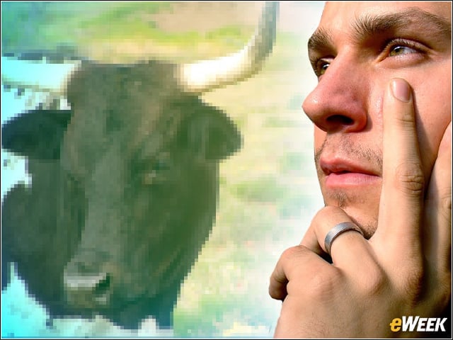 Don’t Have a Cow