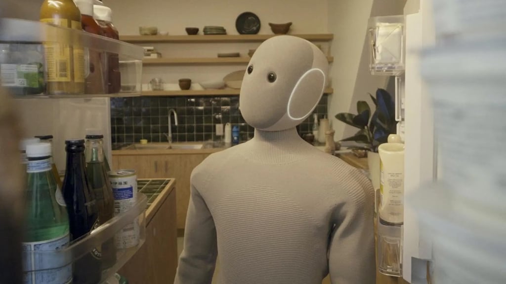 Robot