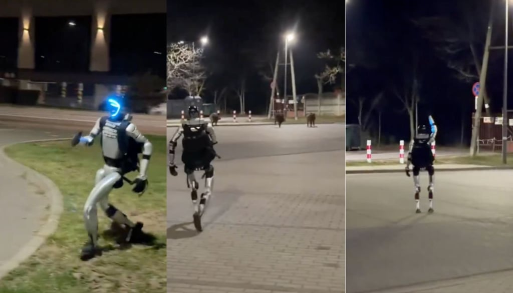 Humanoid robot chases boar
