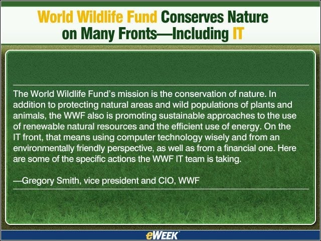 How the WWF Shrinks its IT Carbon Footprint