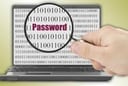 Yahoo password free email
