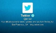 Twitter Files Public IPO Papers, but Red Ink Prevails