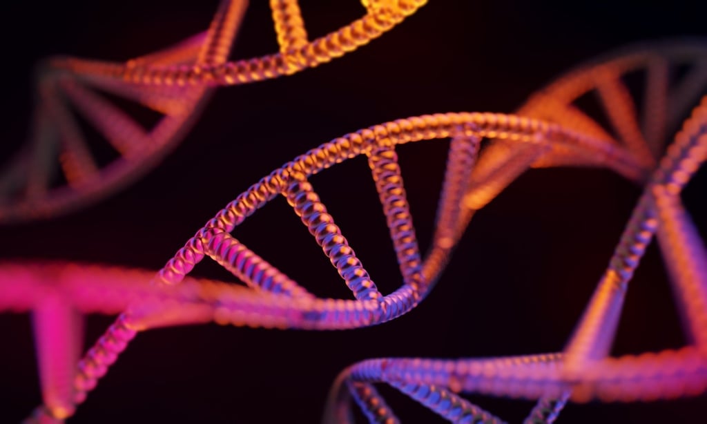 DNA