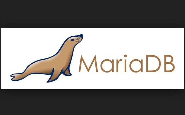 MariaDB Gets New CEO, CTO and $9 Million VC Injection