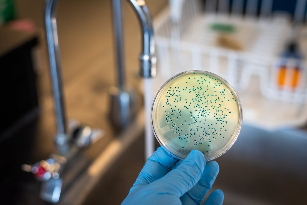 A lab assistant analyizing a sample on a petri dish.