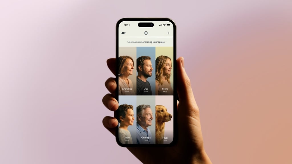 Luffu app product shot - Family care circle example