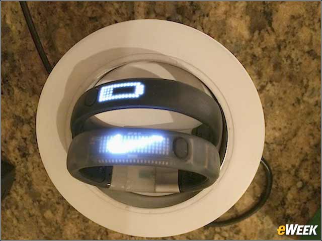 5 - Various Nests