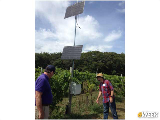 8 - Growing the Grapes