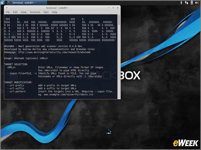 11 - WhatWeb Scanner Provides Web Server Details