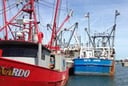 New Bedford harbor