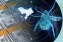 Bug bounty