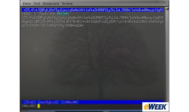Botnet Command and Control