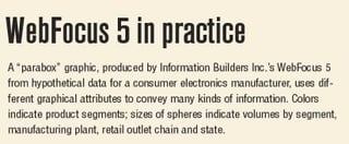 WebFocus 5