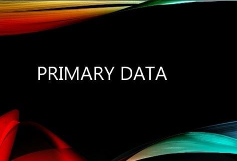 PrimaryData.logo