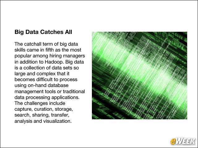 6 - Big Data Catches All