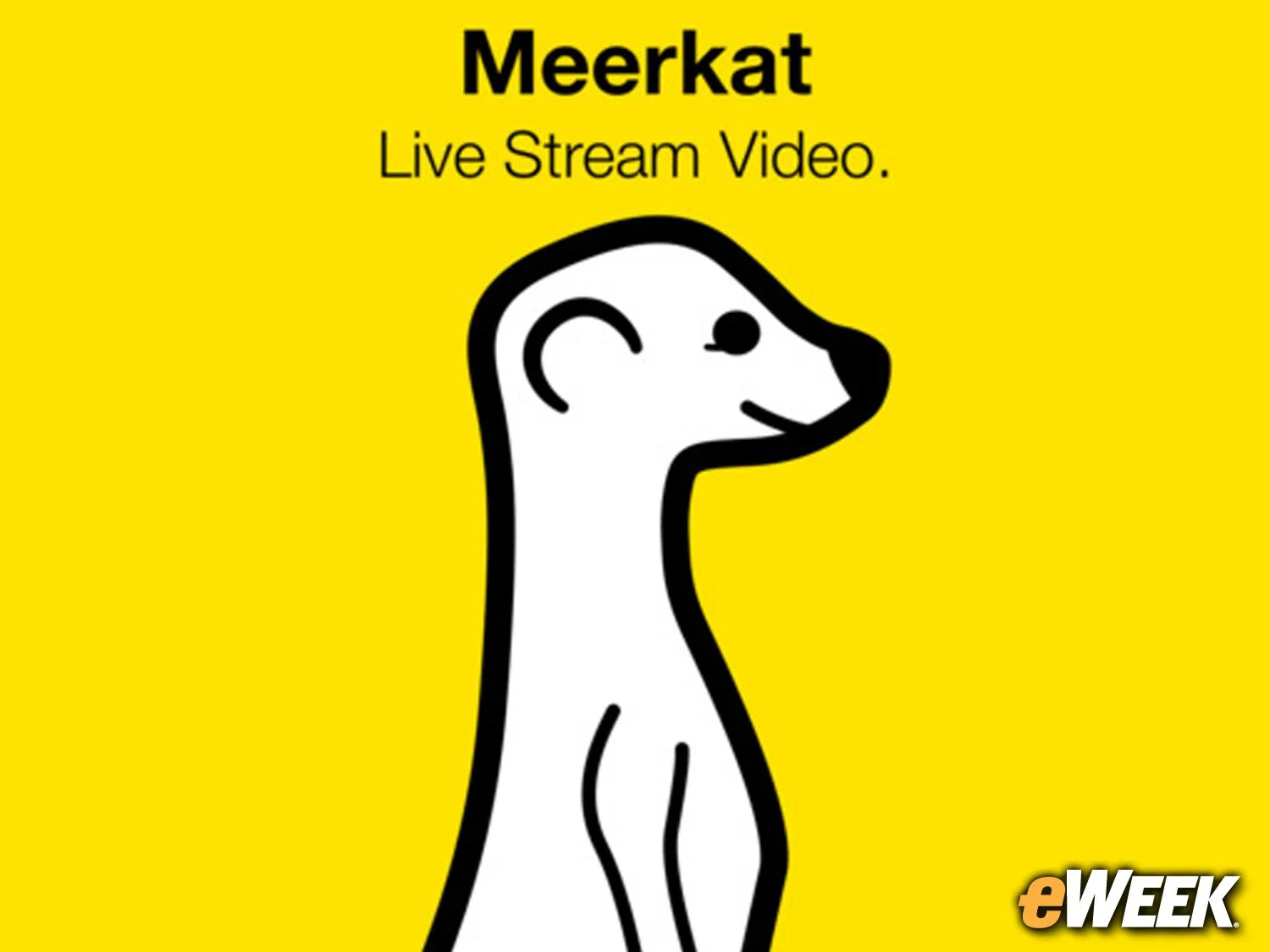 Meerkat Is Periscope's Closest Competitor
