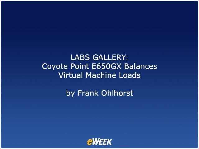 Coyote Point E650GX Balances Virtual Machine Loads