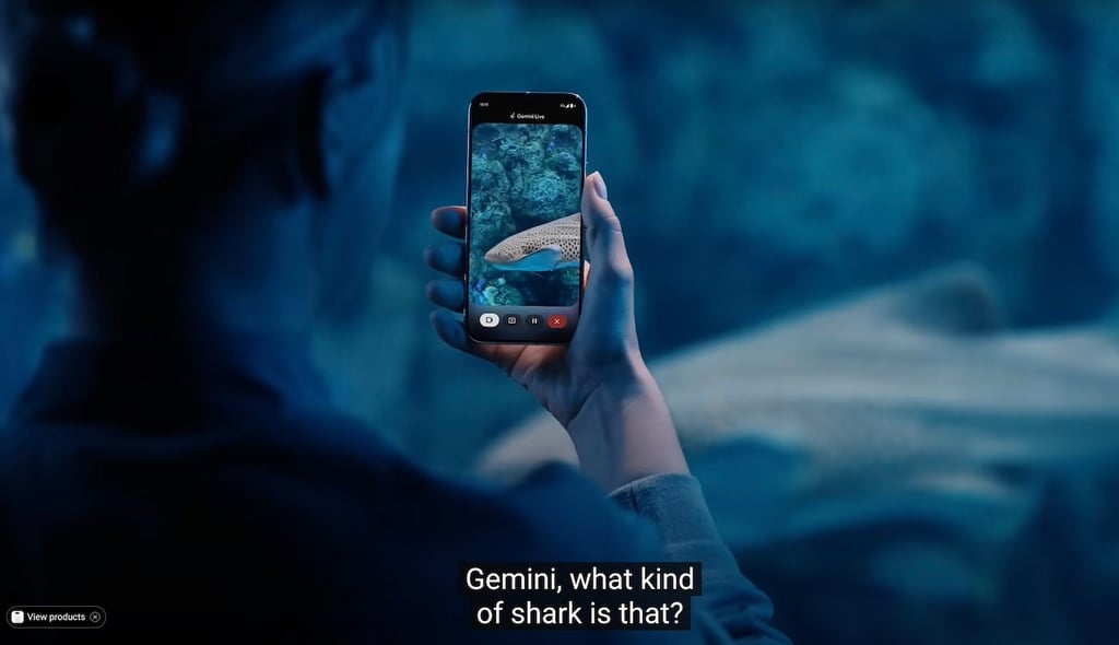 Screenshot of Google's demo of Gemini Live's camera and screen sharing feature.
