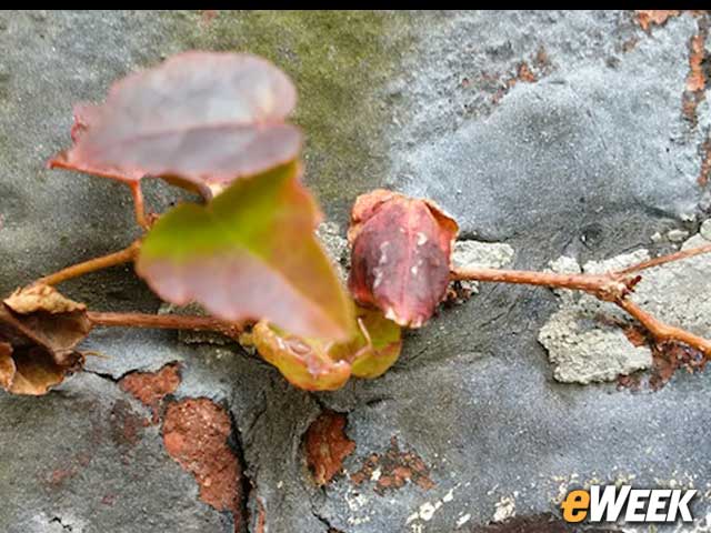 7-The Z30's Camera