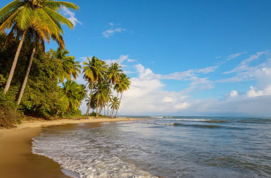 Tropical beach.