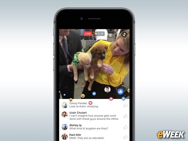 You Can Build a Video Archive