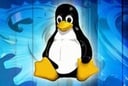 Linux development