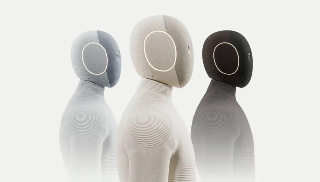 Humanoid robots