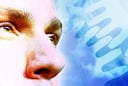 Cloud Adoption Limited but Poised to Grow: Gartner